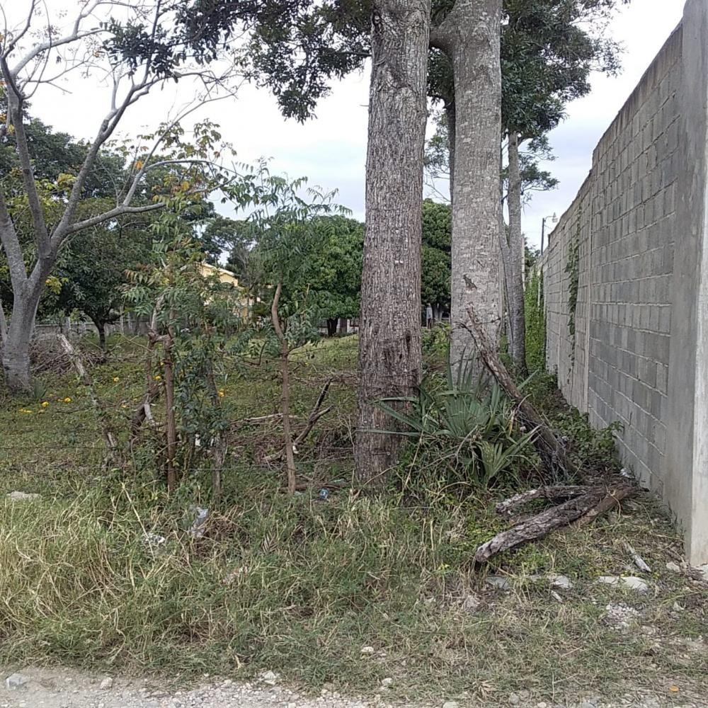 imagen 6