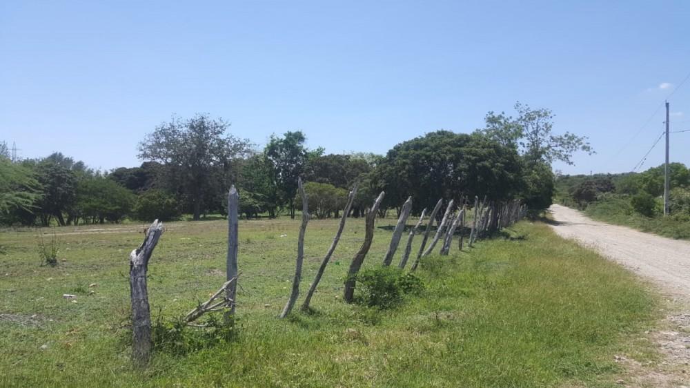 imagen 6